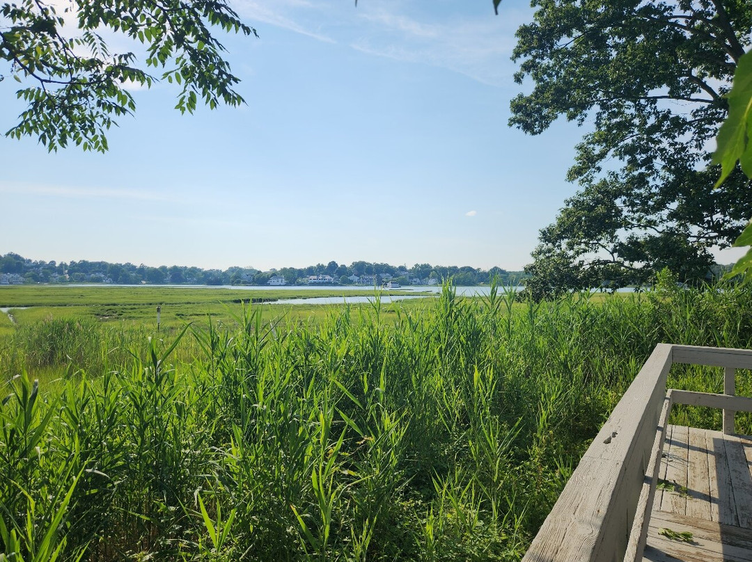 Sherwood Island State Park景点图片