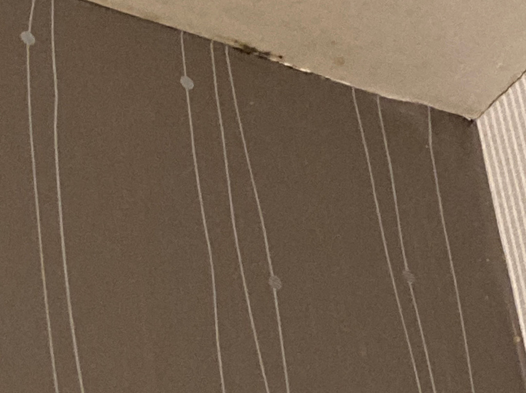 Courtyard by Marriott Kansas City East/Blue Springs主图