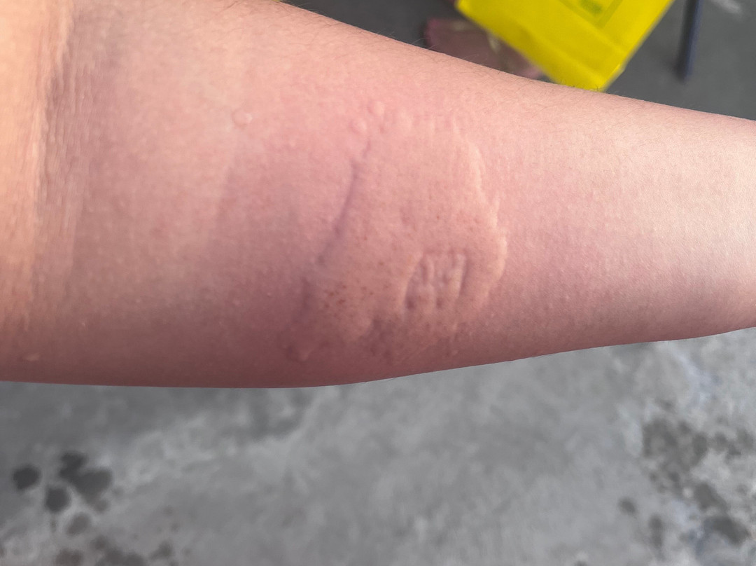 Tarnav Group-Milazzo必去景点