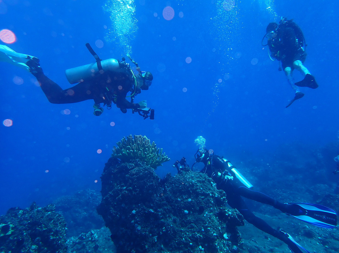 Maui Dreams Dive Co.-基黑必去景点
