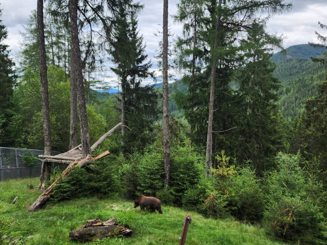 Der wilde Berg-Mautern in Steiermark必去景点