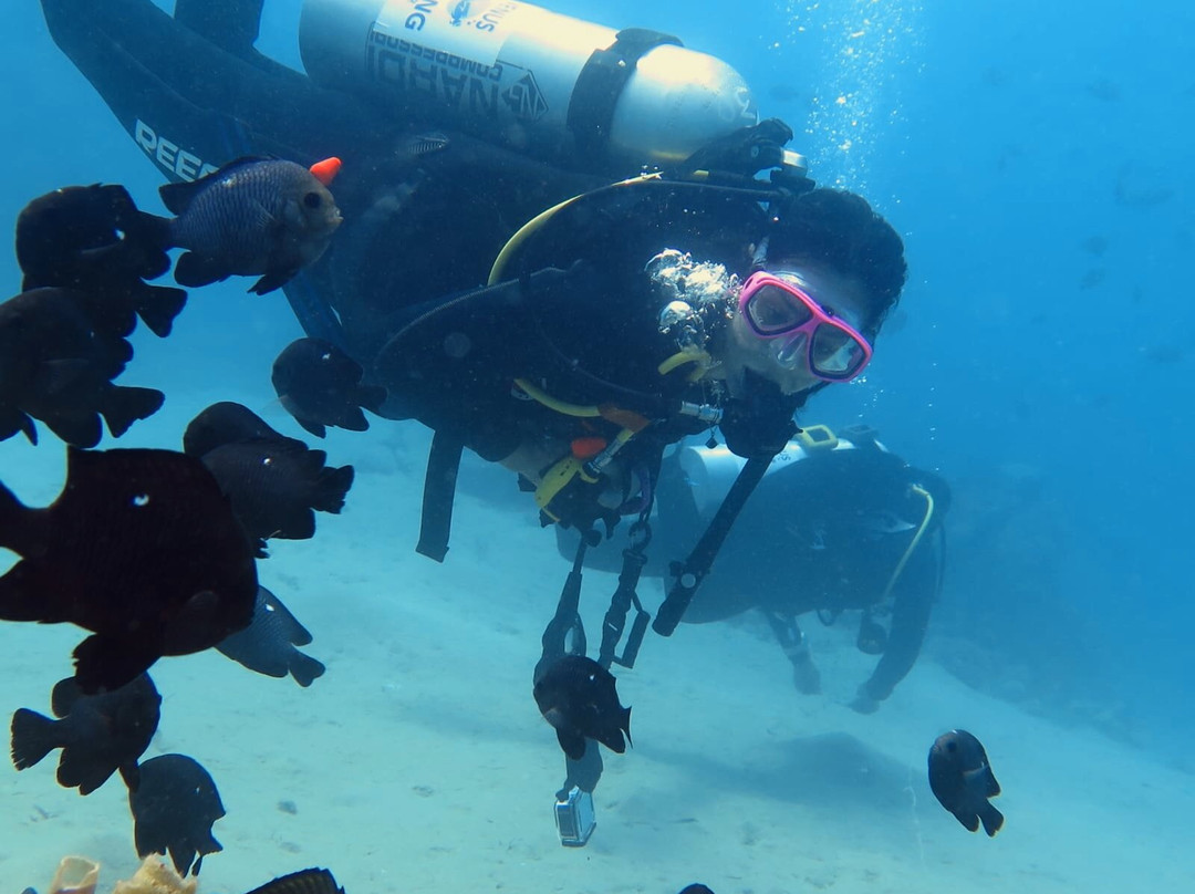 Venus Diving Center-努威巴必去景点