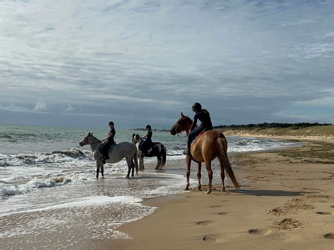 Les Petites Ecuries du Marais-Ars-en-Re必去景点