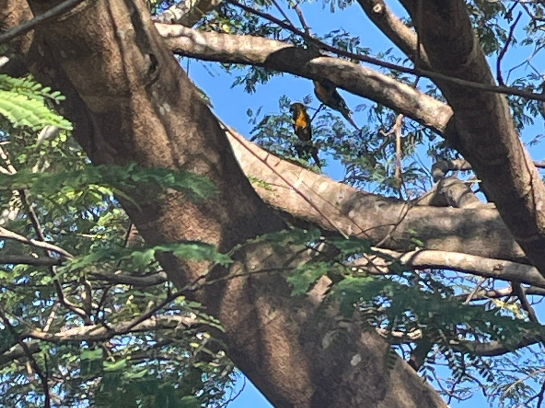 Pousada Villa Bia主图