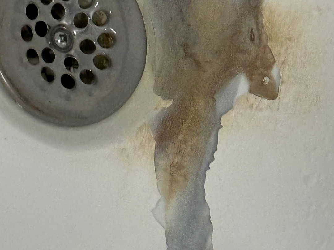 Best Western Inn Of Jasper主图