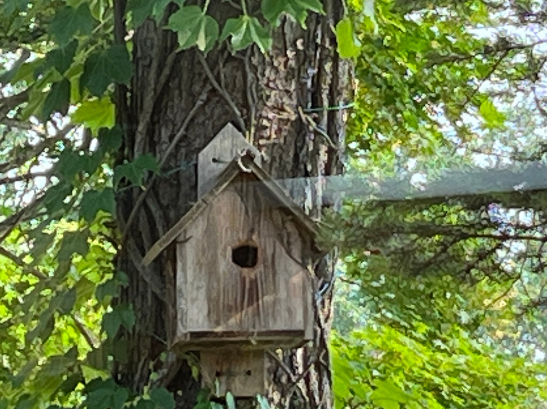 Hotel Daiheigen主图