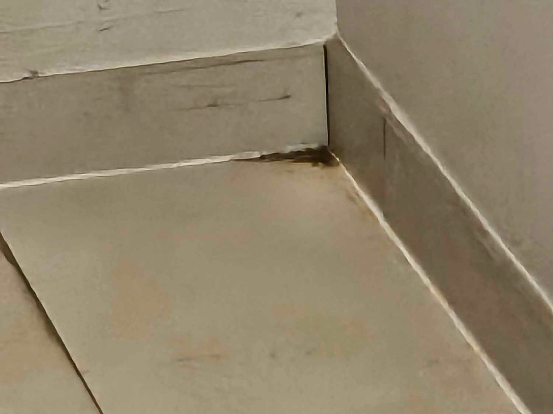 Holiday Inn Express Winchester South Stephens City By IHG主图