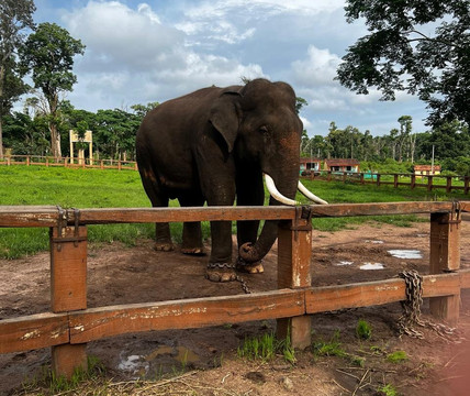 Touracle-柯钦必去景点