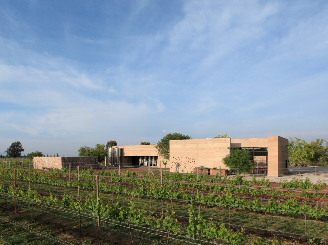 Vinedos Cuna de Tierra景点图片