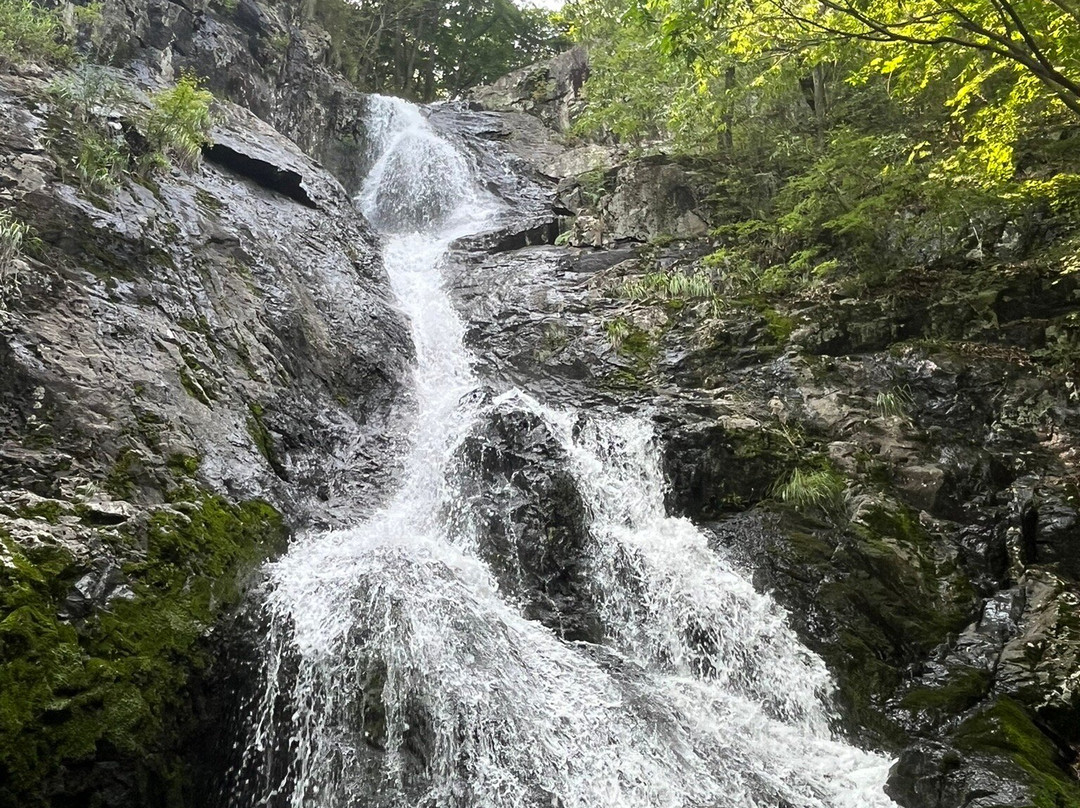 Gamagol ecological park-潭阳郡必去景点