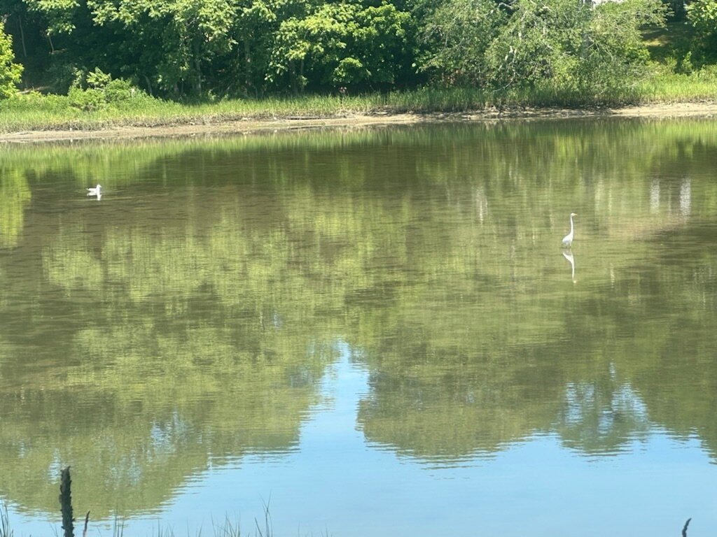 House on Chase Creek主图