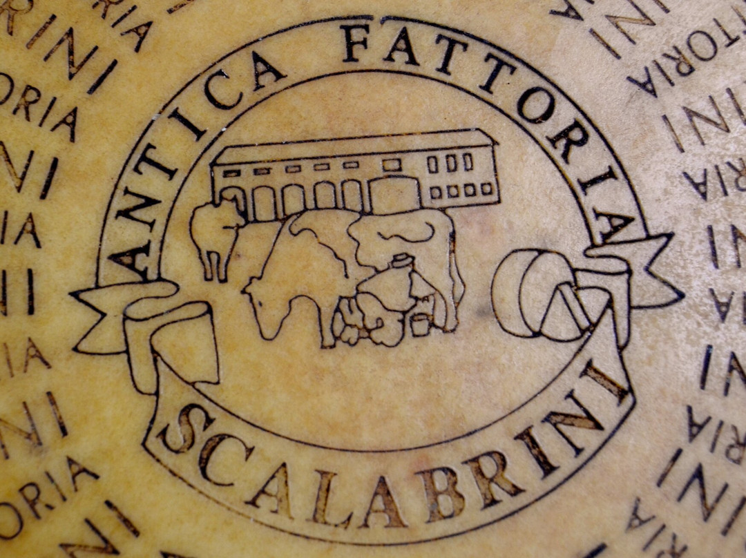 Antica Fattoria Caseificio Scalabrini景点图片