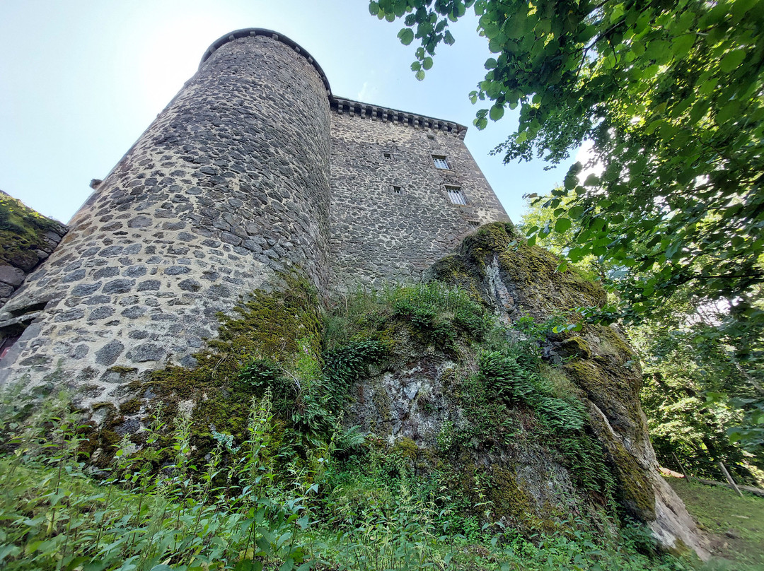 Chateau de Rochebrune景点图片