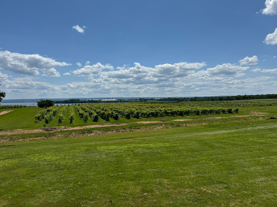 Blomidon Estate Winery景点图片