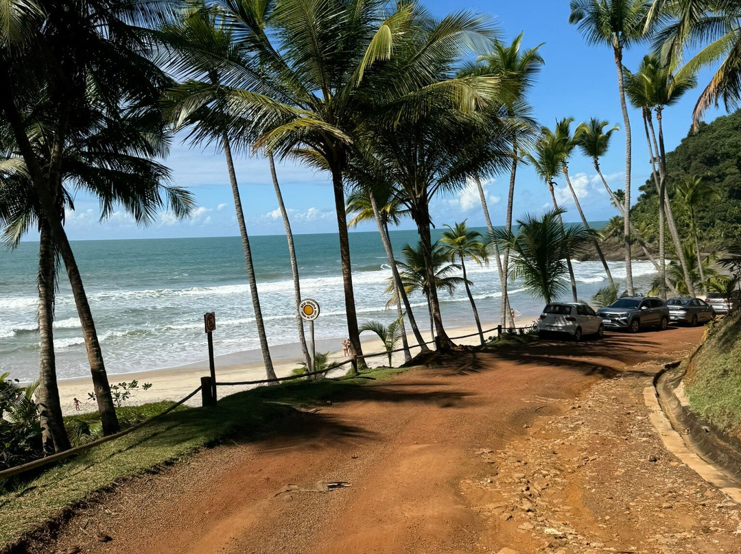 Sao Jose Beach-Itacare必去景点