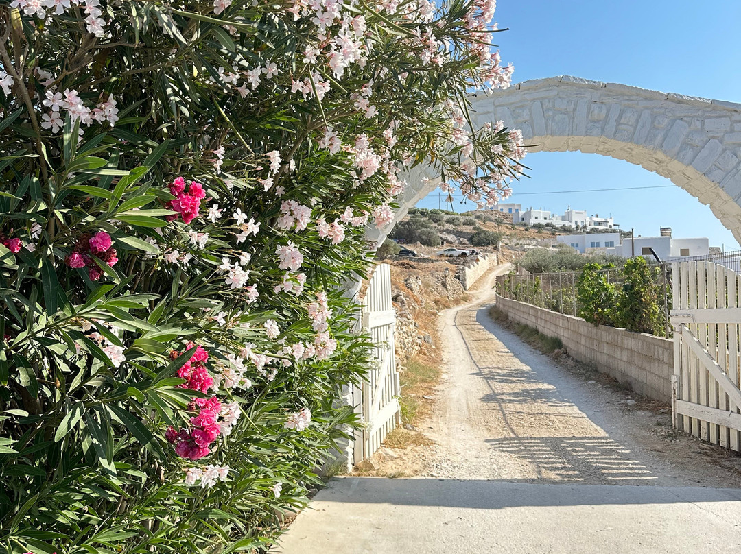 PAREA Paros - Adults Only主图