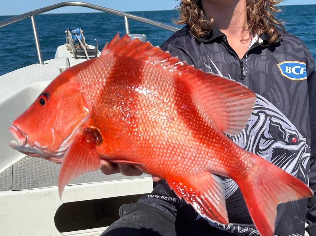 Dundee Beach Fishing Charters景点图片