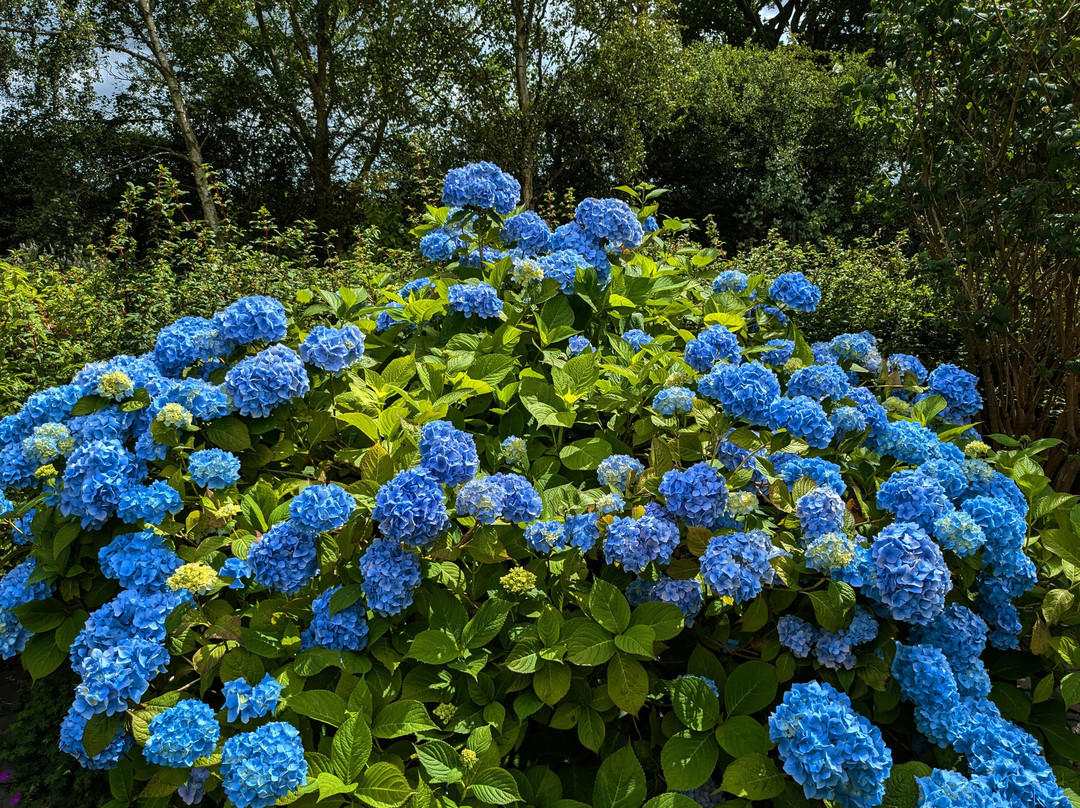 Birkheads Secret Gardens-纽卡斯尔必去景点