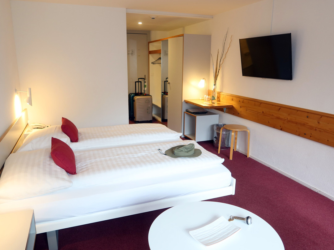 Hotel Kreuz Lenk主图