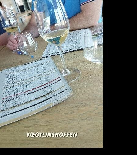 CATTIN - Grands Vins & Cremants d'Alsace-Voegtlinshoffen必去景点