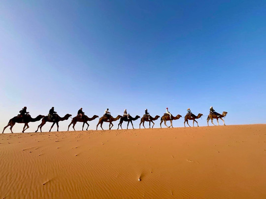 Vamos a Marruecos-非斯必去景点