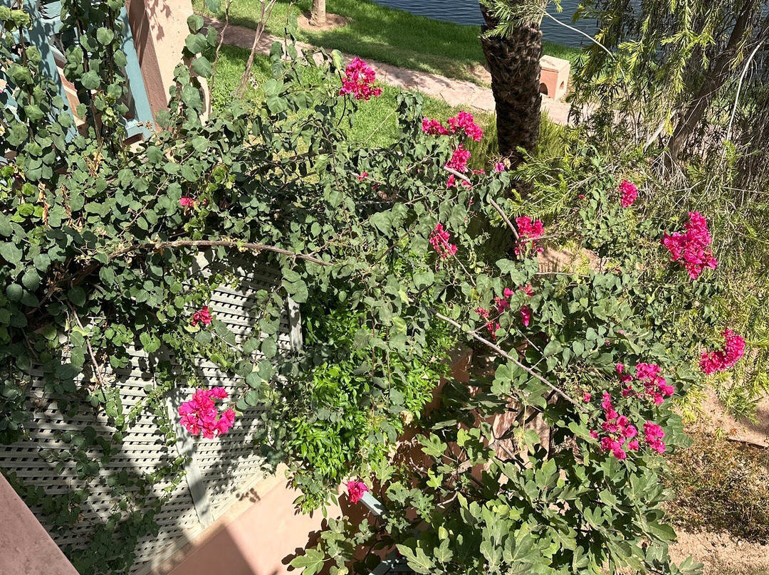 Le Pavillon Du Golf主图