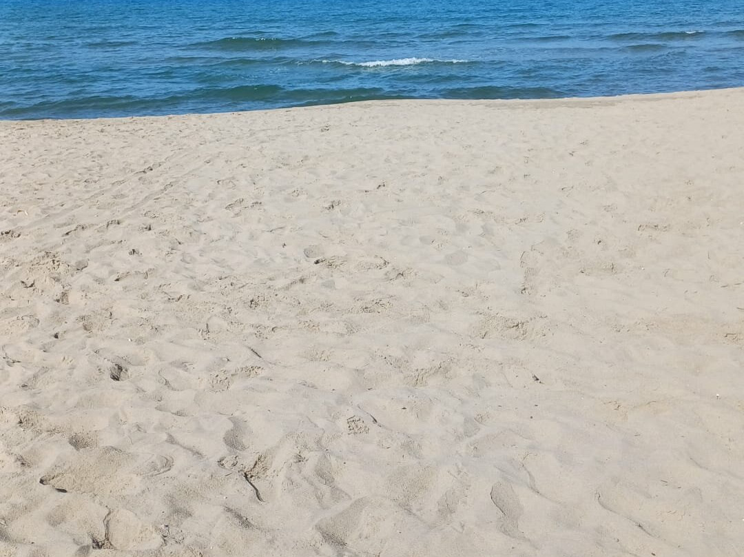 Anse De Favone景点图片
