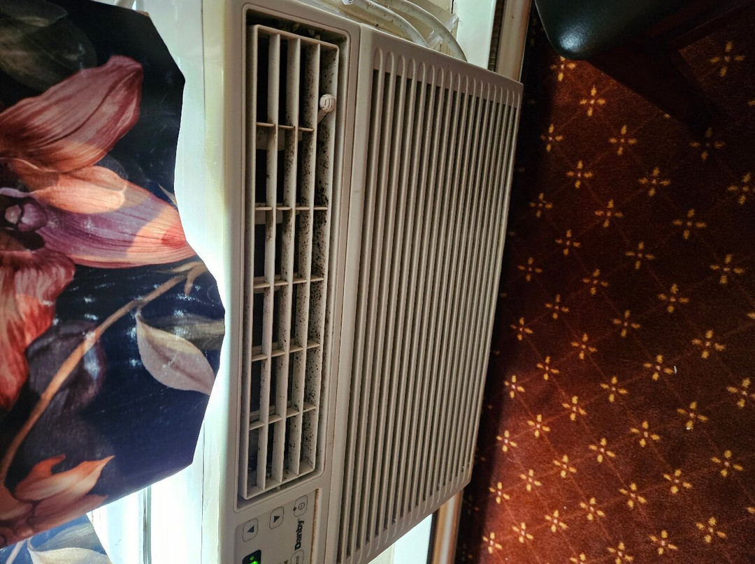 Pinewood Motor Inn主图