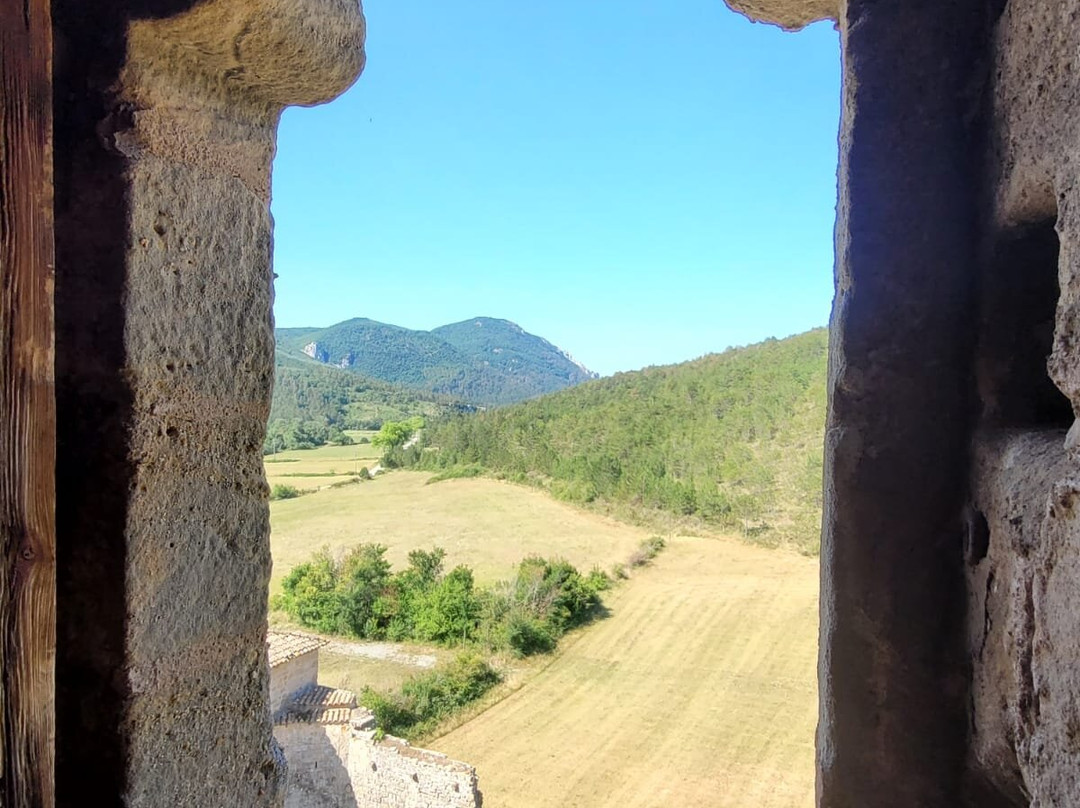 Chateau d'Arques景点图片