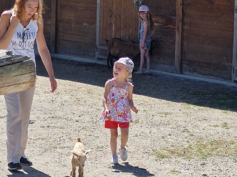 Parc des Grands Félins-Saint-Leger-en-Bray必去景点