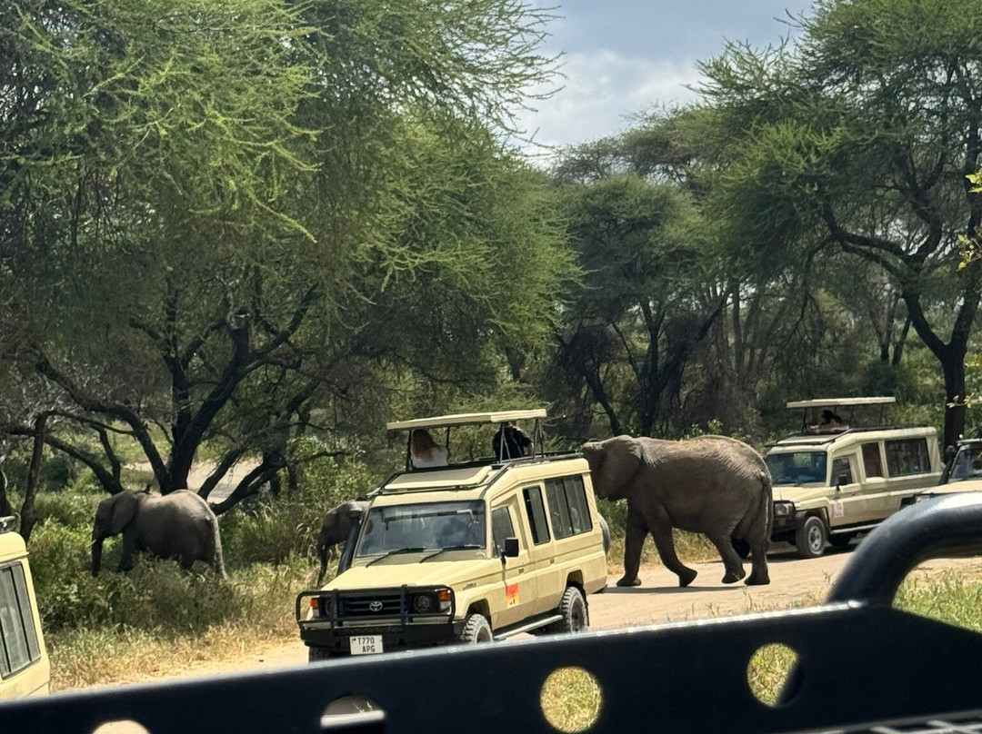 Silsila Tours & Safaris-Majengo必去景点