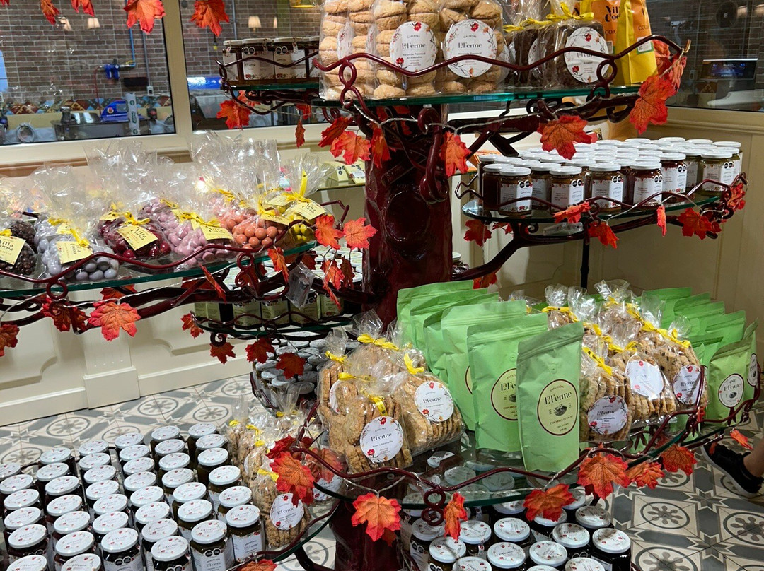 Villa Cocoa-San Sebastian del Oeste必去景点