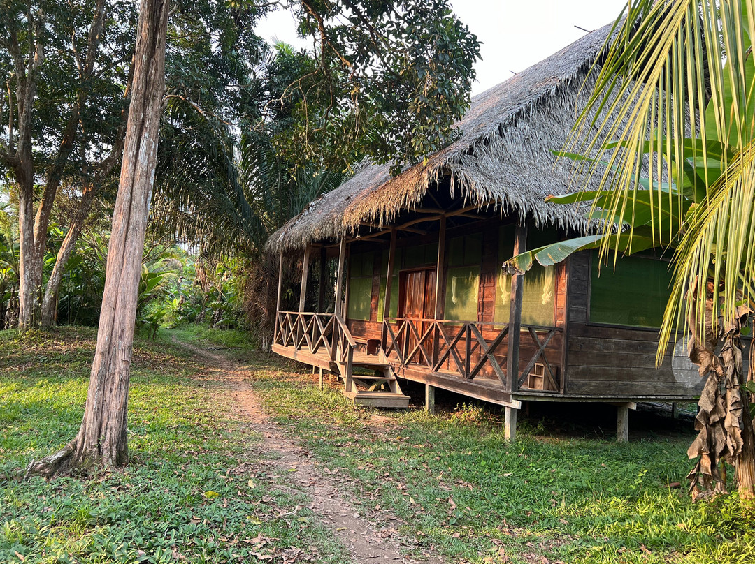 Amazon Travel Expedition