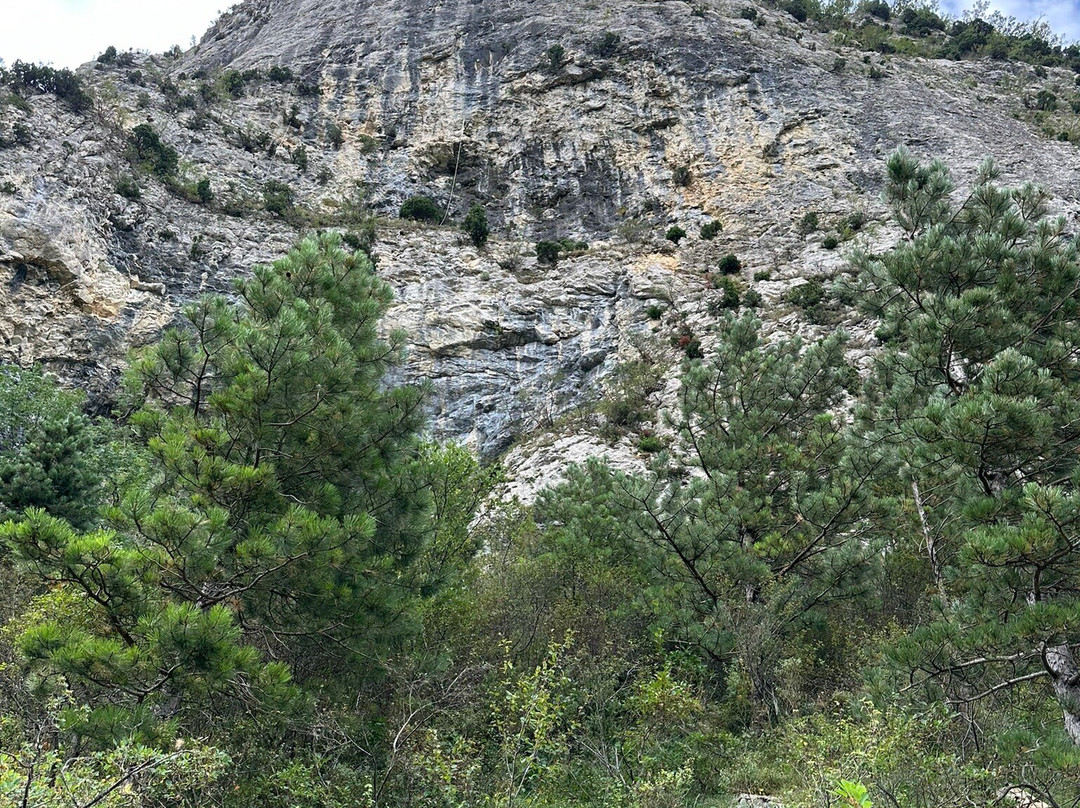 Foret de Saou景点图片