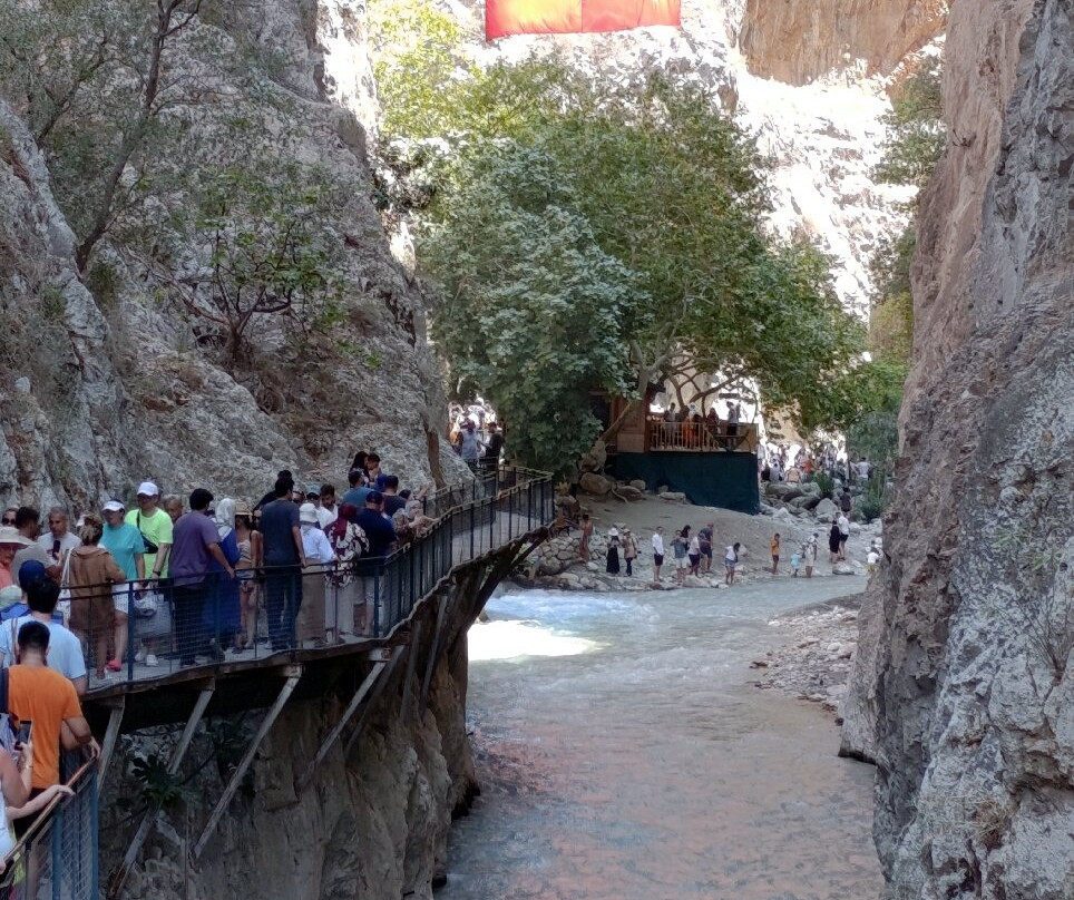 Cadianda Tours景点图片