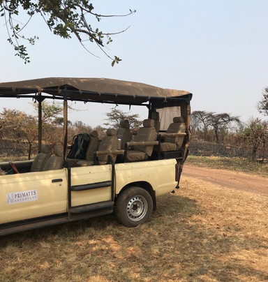 Primates Adventure-DMC-Ruhengeri必去景点