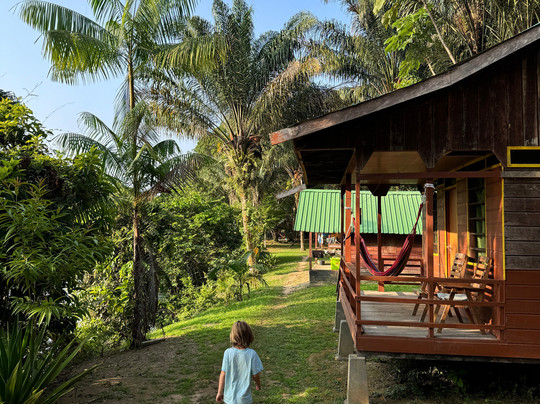 Travel The Guianas-帕拉马里博必去景点