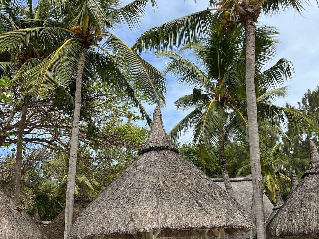 Catamaran Cruises Mauritius-马喜埔必去景点