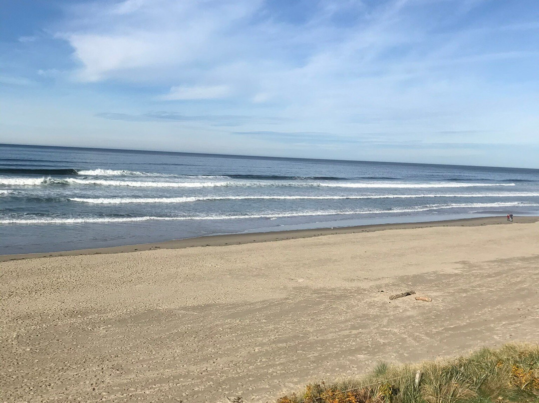 Surfside Resort主图