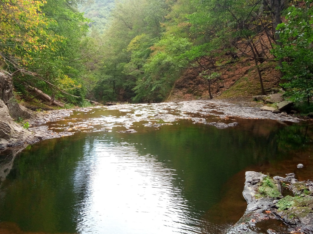 Καταρράκτης Τραχωνίου ή Λειβαδίτης景点图片