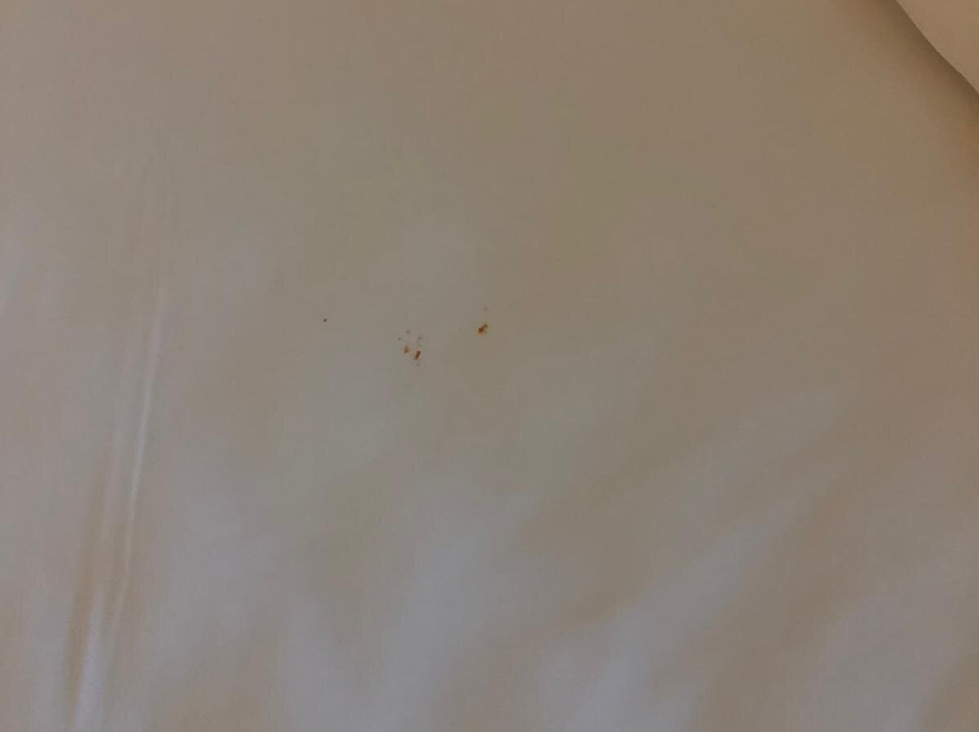 Campanile Dijon Sud - Marsannay主图