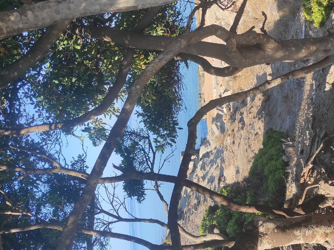 Funtanazza Beach-阿尔布斯必去景点