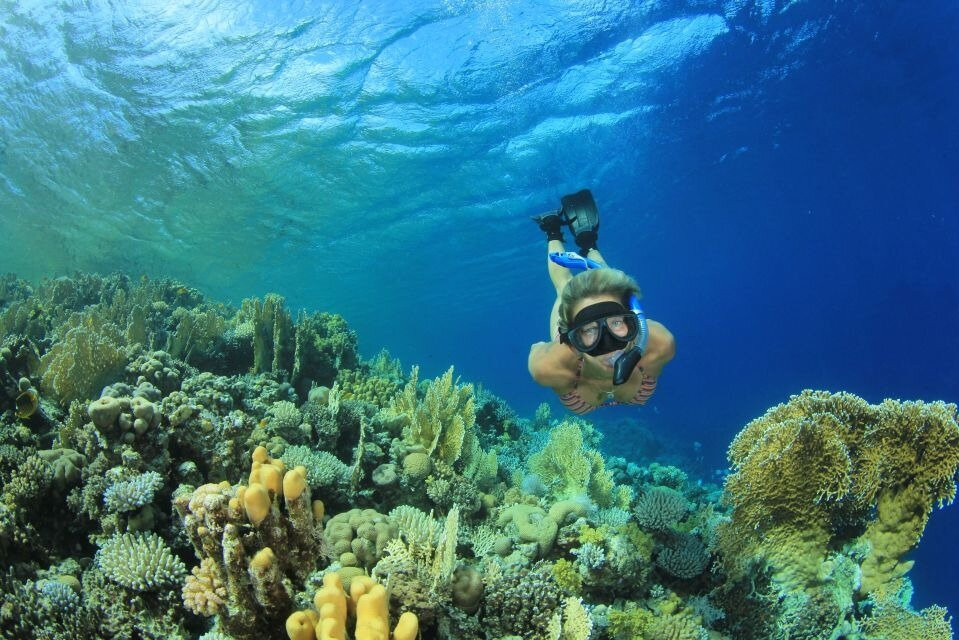 Marsa Alam-马萨阿拉姆必去景点