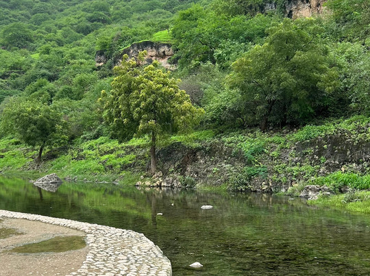 Khalid Tours-塞拉莱必去景点