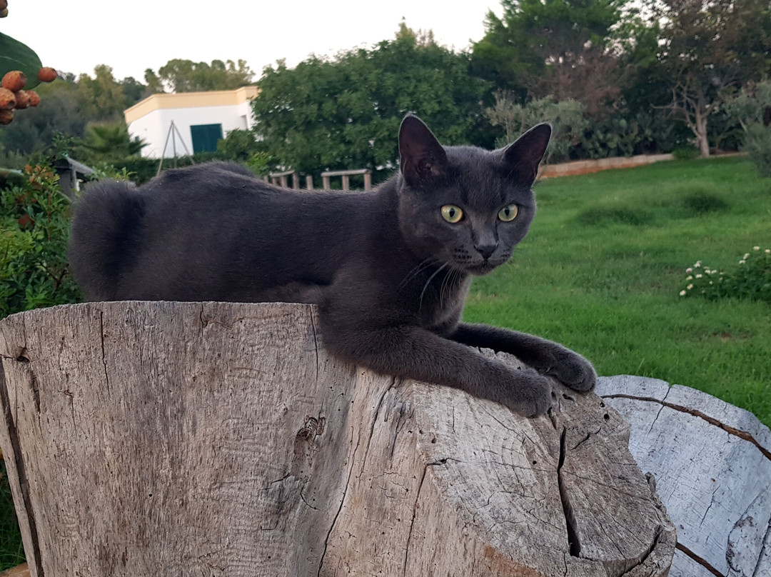 B&B La Marianna主图