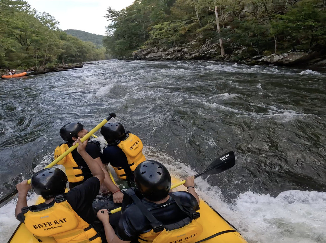 River Rat Whitewater Rafting-Hartford必去景点
