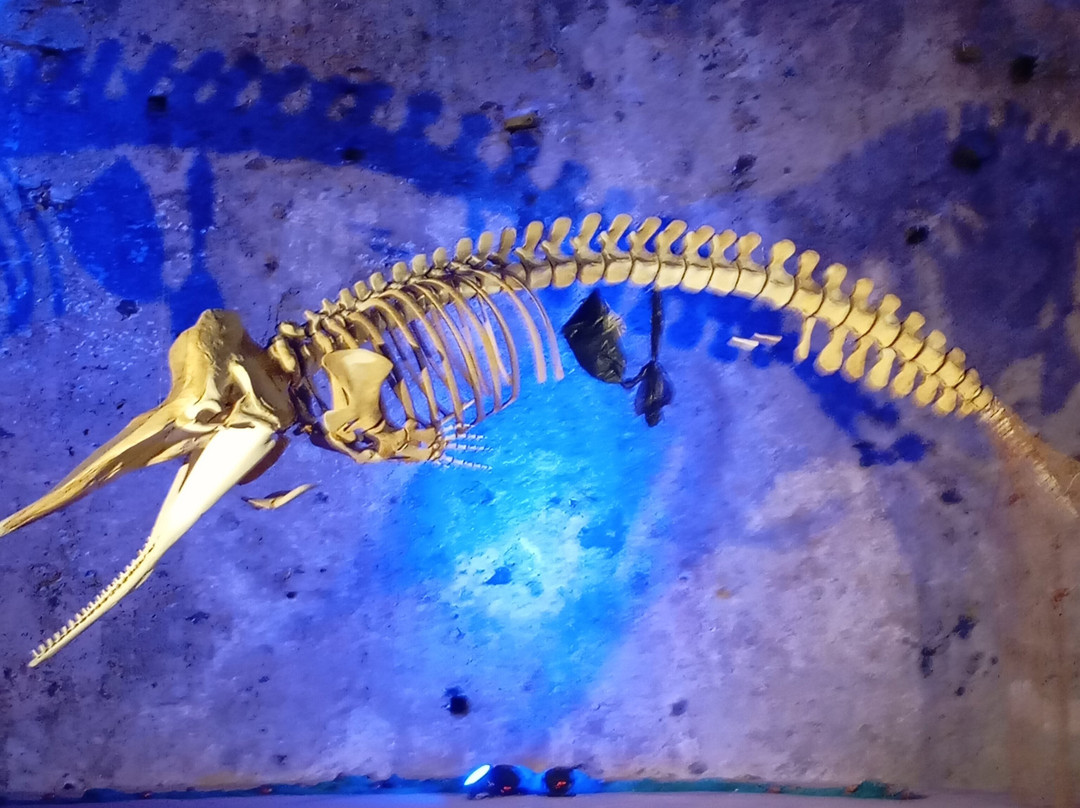 Muma Museo Del Mare Milazzo景点图片