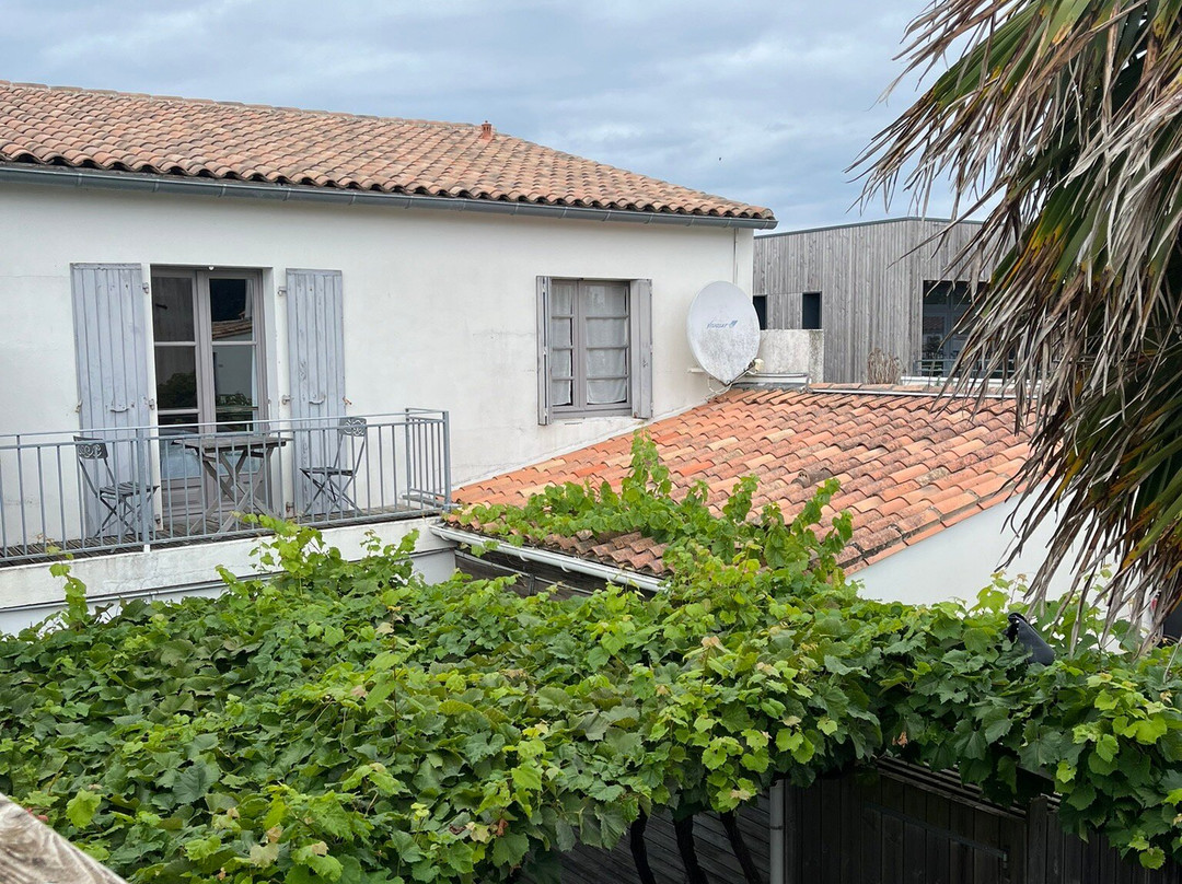 Le Vieux Greement主图