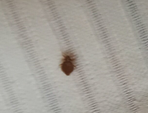 Hotel Ramdev International主图