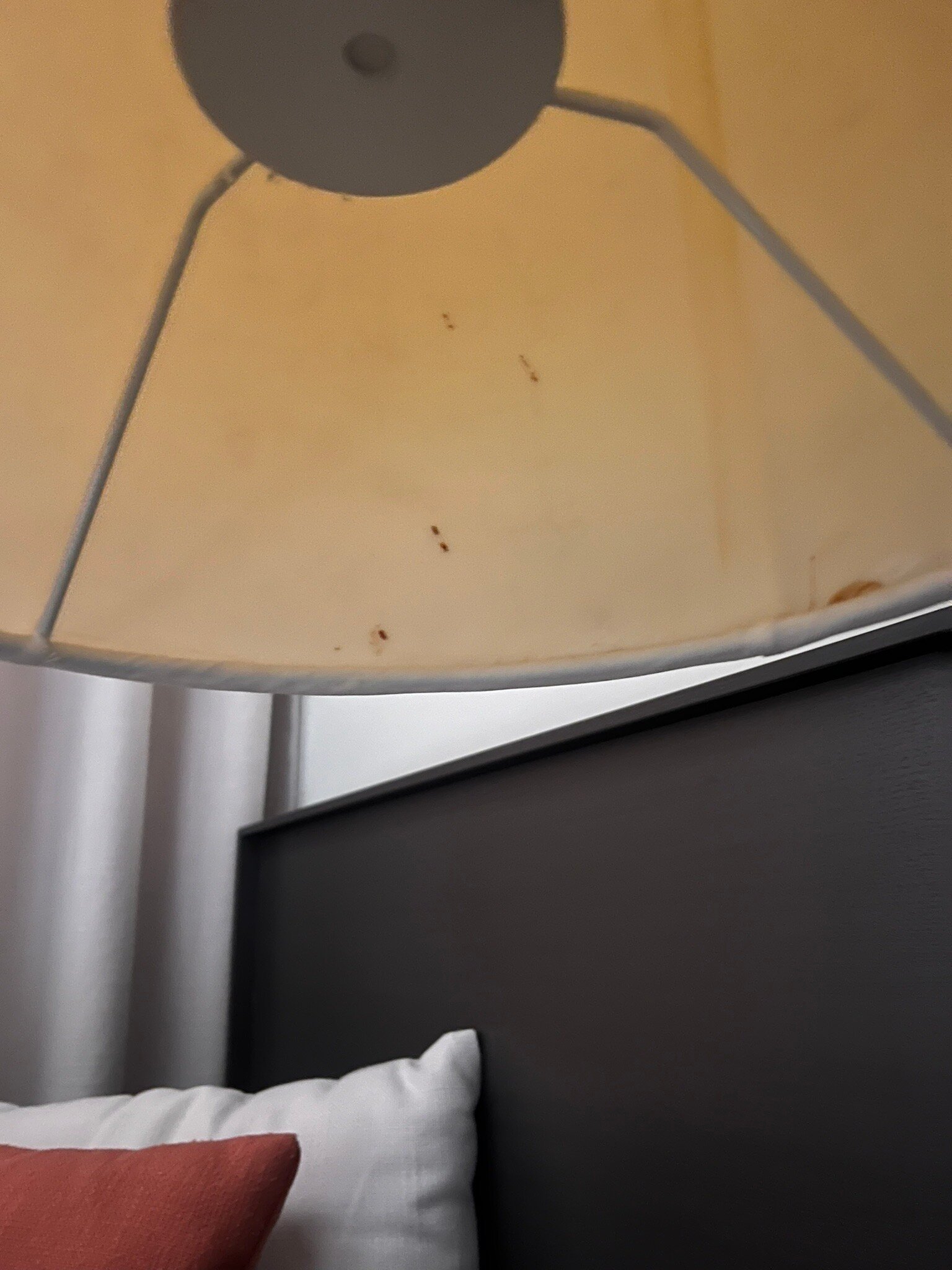 麻浦新罗舒泰酒店-官方